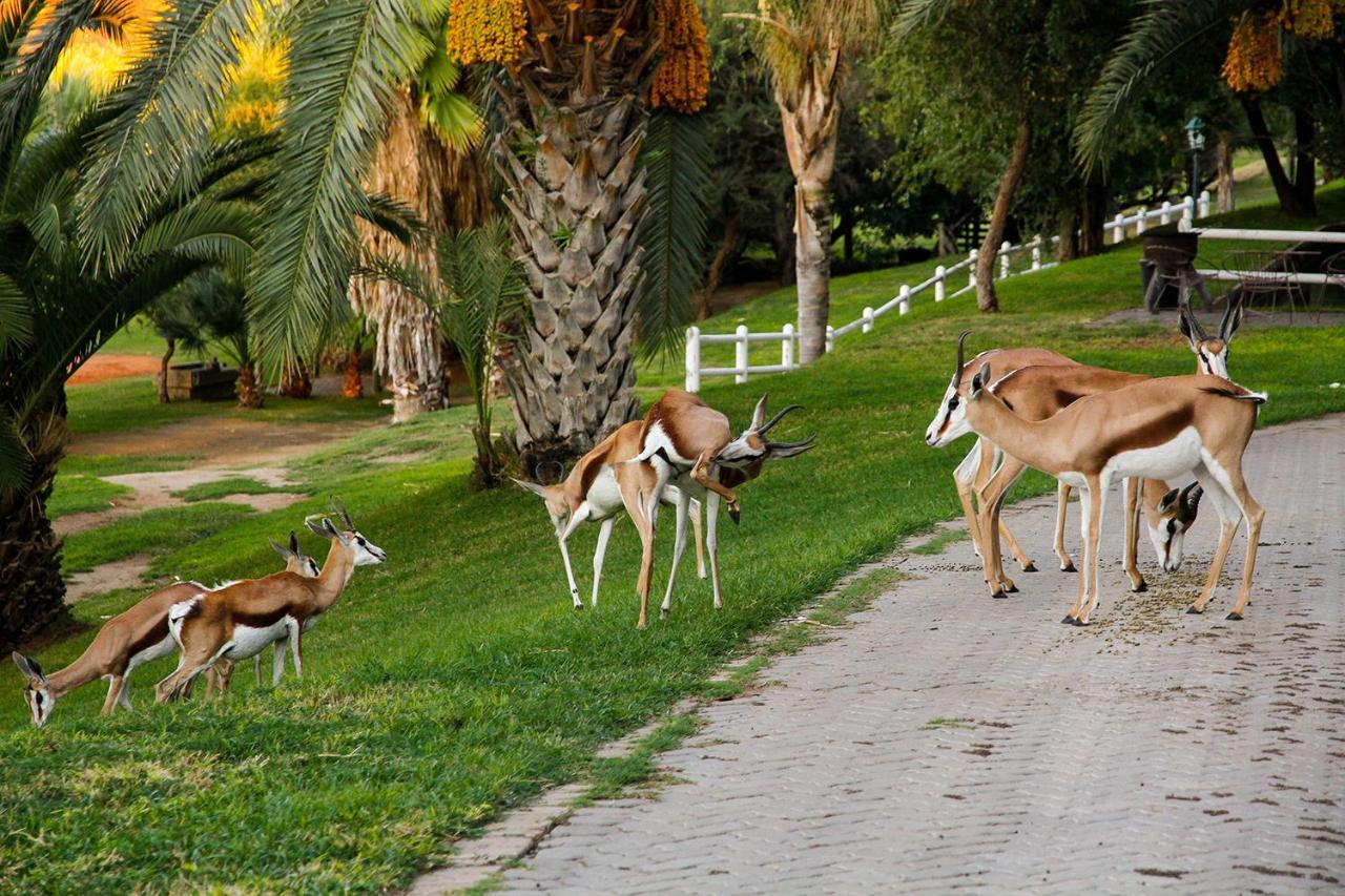 Keimoes Ikaia River Lodge מראה חיצוני תמונה